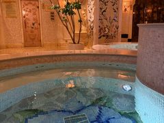 -麓湖国际水疗