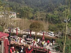 -楠柏弯休闲山庄(梨花溪店)