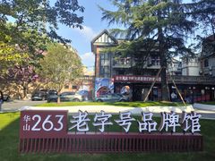 -华山263老字号品牌馆