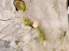 -随意茶庄·地道杭帮农家菜(梅家坞店)