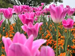 -上海交通大学(闵行校区)