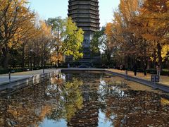-玲珑塔公园