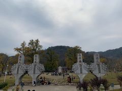 -千年银杏谷文化旅游区