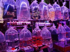 -华声天桥民俗文化园