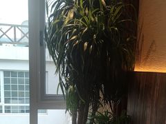 -慢丽江·云南野生菌土鸡锅(付家庄店)