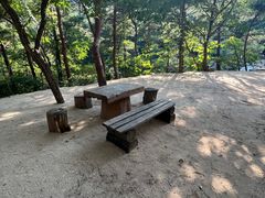 -无染寺