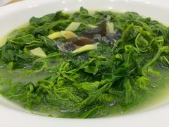 上汤浸桑叶-红日饭店(裕隆三路店)