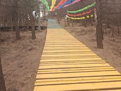 -苏木山森林公园