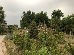 -永定河休闲森林公园