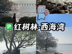 -宝安西湾红树林湿地公园
