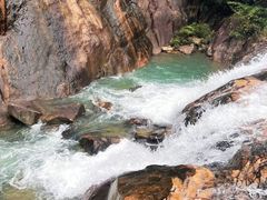 -广州白江湖森林公园