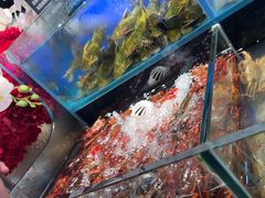 -苏格里岛自助烤肉海鲜火锅(成都金牛万达店)