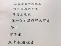 -吃饼人西餐(南开店)