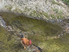 -林坑古村落