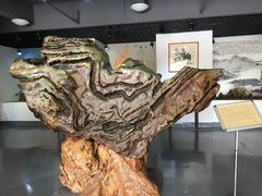 -东南花都花博园