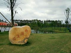 桥头-上海长兴岛郊野公园