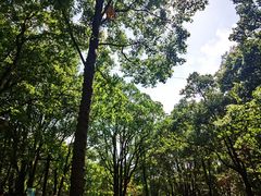 -WeLope紫金山探险公园