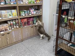 -四月宠物医院·猫专科·心脏专科·内科(转塘店)