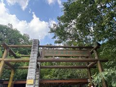 -牛背梁国家森林公园