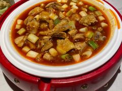 -院8里·小聚园老川菜(九眼桥店)