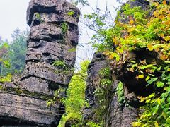 -梭布垭石林景区