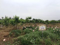 -汤山翠谷生态餐厅