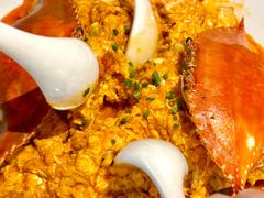 -连鹭海鲜·海肠捞饭·海胆饭(星海店)
