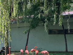 -石家庄市动物园