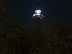 -龙塔