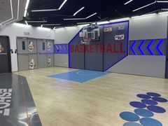 -翼速篮球·儿童体适能·中考体育(鲁能城店)