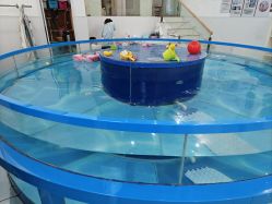 -雏芽婴幼儿游泳·小美医生小儿推拿(西村店)