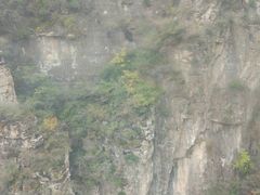 -北京上方山国家森林公园