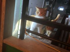 -普朗姆生蚝吧(原建国路店)