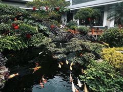 -聚福宝合苑食府(南头镇店)