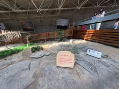 -中国第四纪冰川遗迹陈列馆