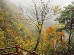 -九峰山