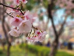 -静安雕塑公园