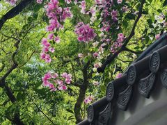 -深圳国际园林花卉博览园