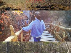 -香炉山国家森林公园