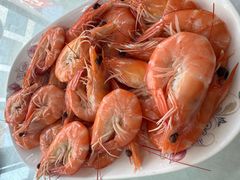 白灼鲜海虾-众味海鲜大排档·活海鲜·潮汕味(南澳店)