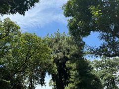 -花柏山公园