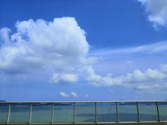 -舟山希尔顿酒店·開自助餐厅