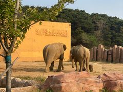 -沈阳森林动物园