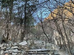 -北京鹫峰国家森林公园