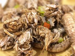 -旺角小渔村(幸福中路店)