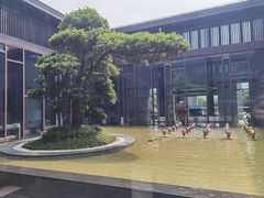 -上海崇明金茂凯悦酒店