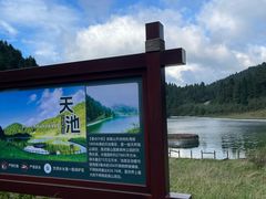 -武陵山森林公园