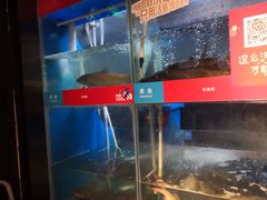 -鱼酷活鱼烤鱼(人信汇商场店)