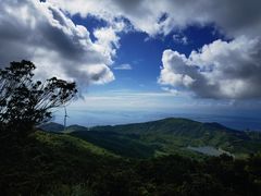 -盐洲岛