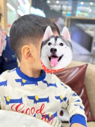 -星咔萌StarCamo儿童剪发(芳圆里IDMALL品牌形象店)